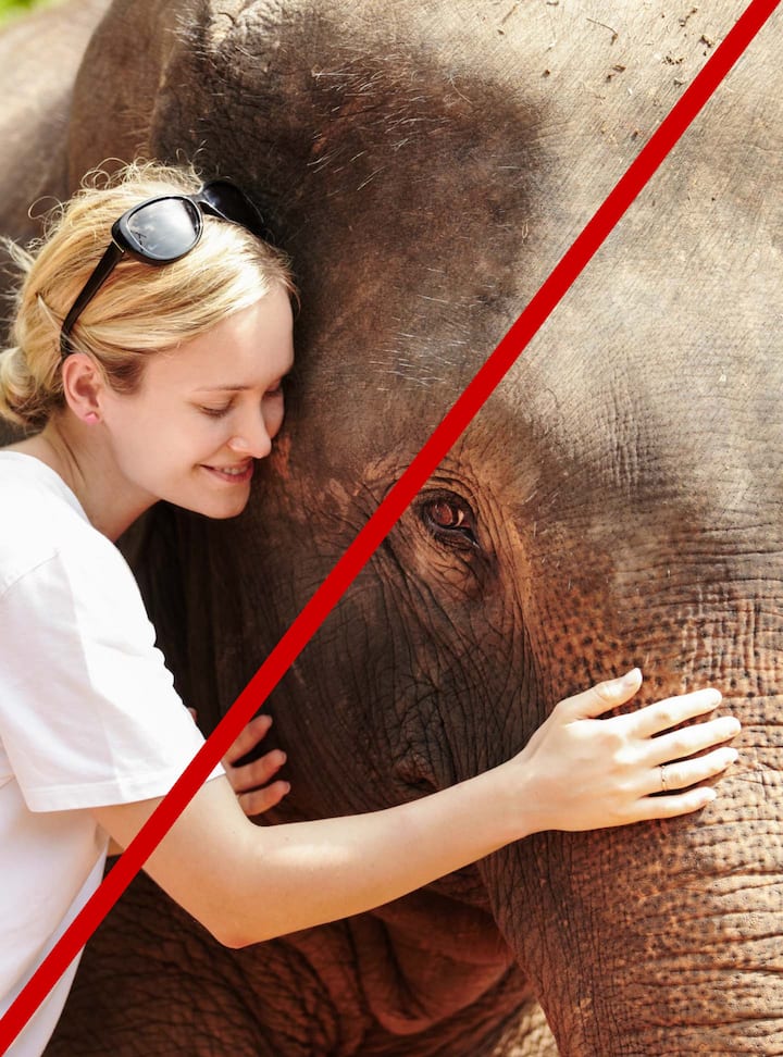 Close-up of a person with blonde hair and sunglasses hugging an elephant's head. The image has a red line across it indicating the image would be rejected.
