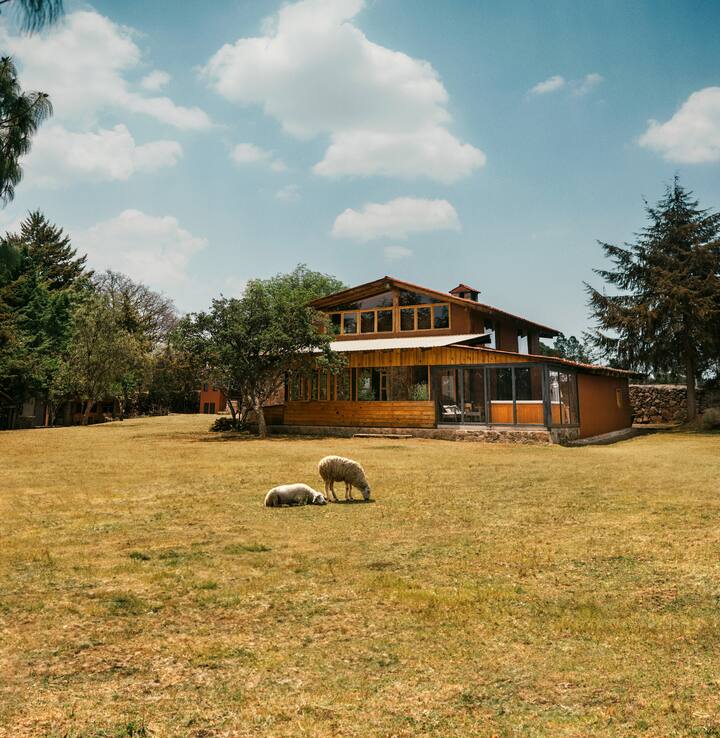 A countryside home with wooden walls and large windows, with two sheep eating grass on a sunny day, surrounded by trees.