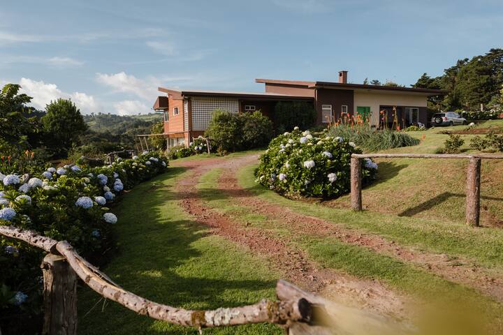 A countryside house in Latin America with a dirt road leading up to it, bordered by green plants and white flowers.