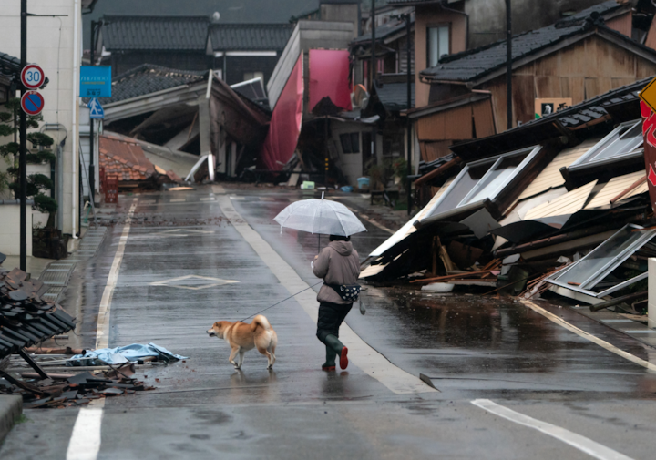 傘を持った人物が、建物の瓦礫が残っている濡れた通りで、茶色の犬を散歩させています。