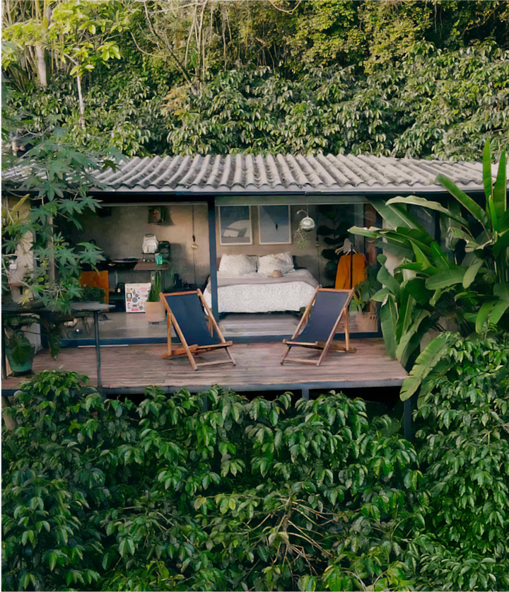 Uma casa cercada pela natureza.