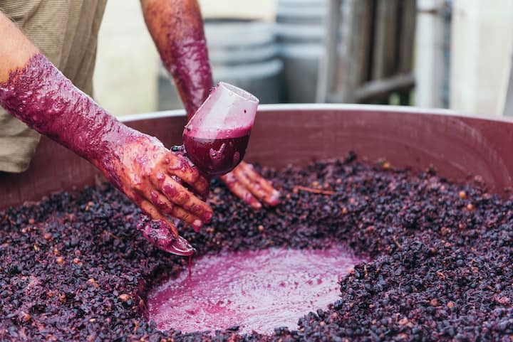Limus Wines