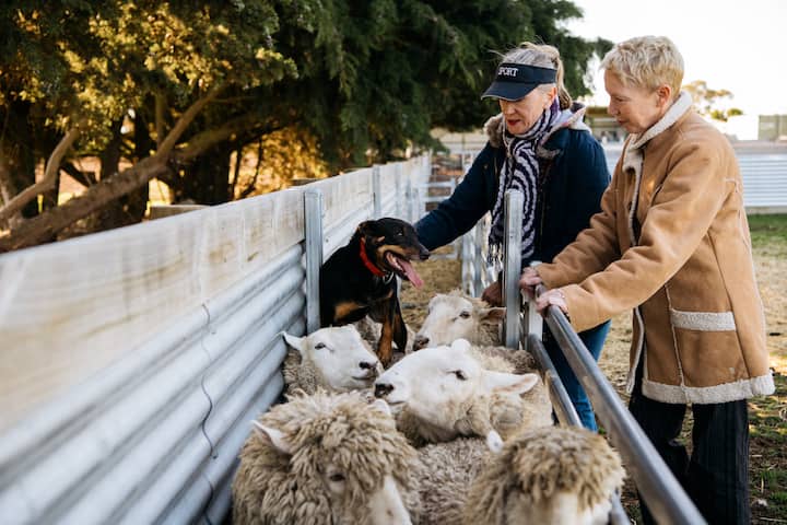 aus farm