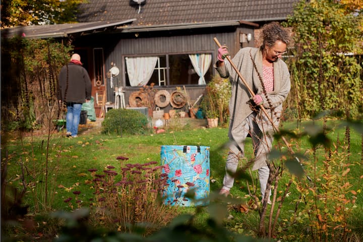 Host in a garden
