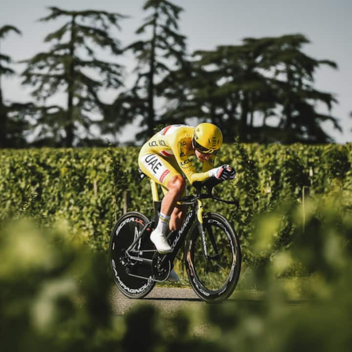 Un coureur du Tour de France traverse des vignes à vélo