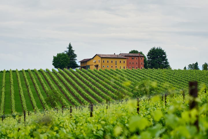 Landscape