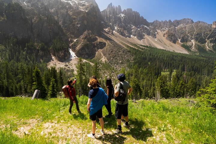Four people hiking in a lush green meadow with steep rocky mountains, pine forests, and a clear blue sky in the background.
