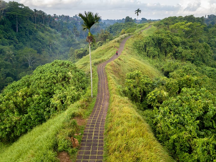 apac - indonesia