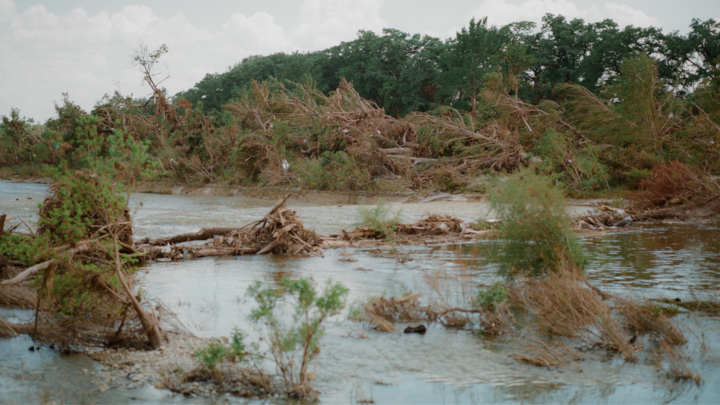 After the floods in central Texas, you can see the destruction of the trees.