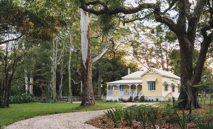 Charming yellow cottage with a wraparound porch set among tall trees.