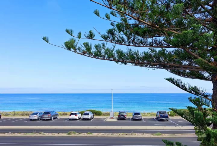 Ocean view with parked cars and trees