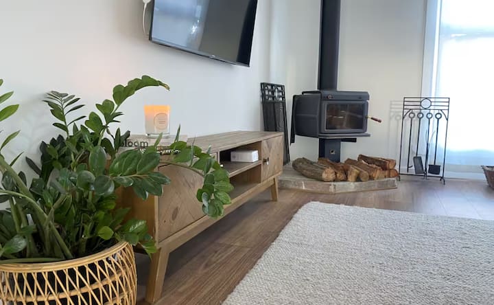 Living room with wood heater and plant