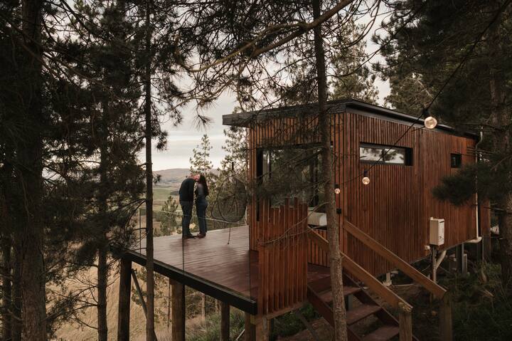 Couple kissing on treehouse deck with glowing string lights