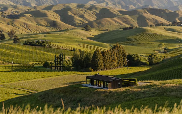 Modern villa surrounded by endless rolling vineyards