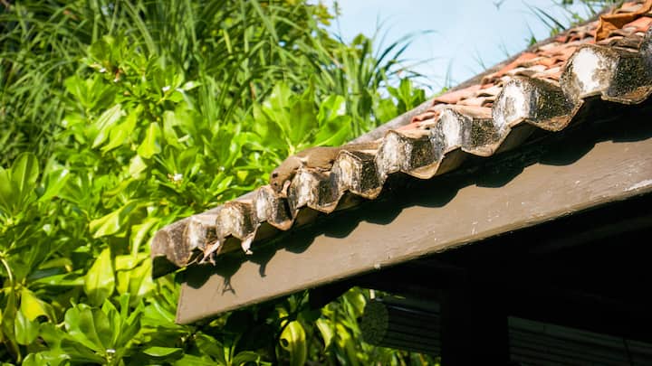 The recycled roof of The Resthouse Perhentian Islands