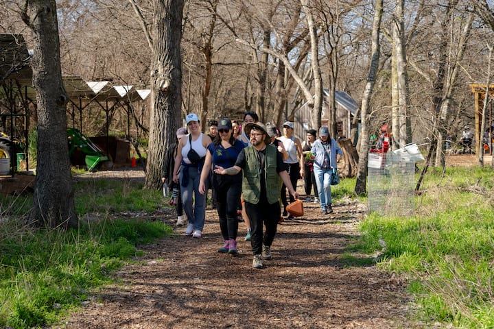 Experience - 5950746