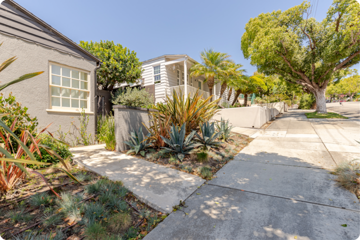 Rue résidentielle calme et ensoleillée avec des maisons modernes, des plantes aux couleurs vives, des arbres et un trottoir en béton.