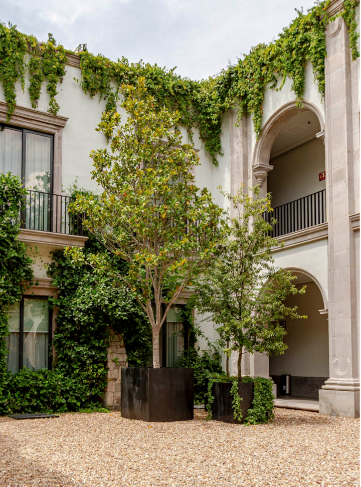 Une cour fermée avec de grands arbres dans des jardinières noires, entourée de murs recouverts de lierre et d'un élément architectural voûté en pierre.