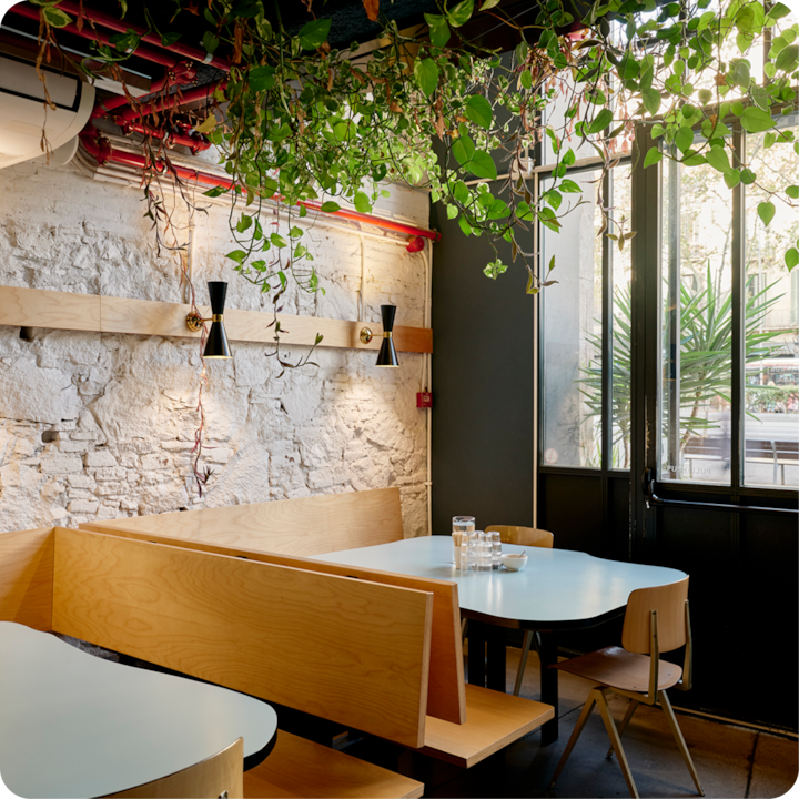 Un espace repas confortable en intérieur avec des bancs en bois clair, des tables bleu pâle et des plantes suspendues luxuriantes, le tout baigné de la lumière naturelle qui pénètre par de grandes fenêtres.