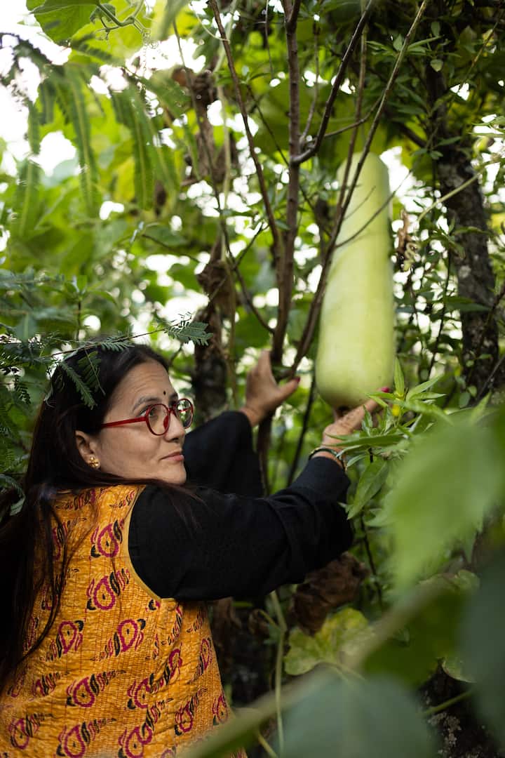 Airbnb India host Babita Uttarakhand 251