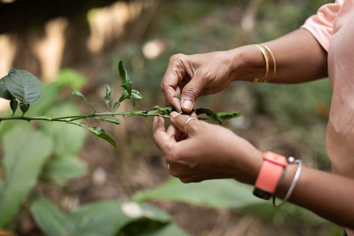 Agnelo & Hazel Airbnb host India 248