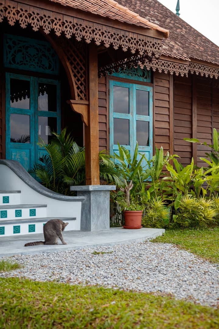 A traditional Langkawi wooden house featuring intricate carvings, turquoise window frames, and lush tropical plants, with a grey cat sitting near the steps.