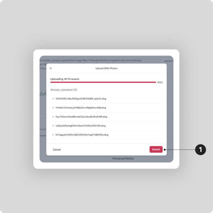 Une capture d'écran d'une fenêtre de progression de transfert intitulée Upload DNG Photos (Envoyer des photos au format DNG), montrant 10 fichiers sur 10 transférés avec une barre de progression rouge à 100 % et un bouton Submit (Envoyer) mis en évidence en bas à droite.