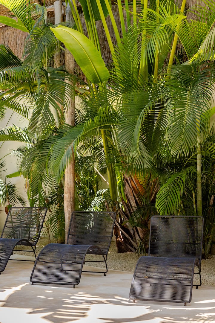 Trois chaises longues sur une terrasse entourée de plantes tropicales luxuriantes et éclairée par la lumière du soleil.