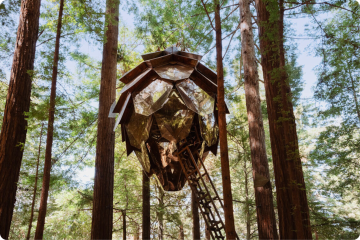 Une cabane perchée au design unique imitant une pomme de pin, entourée de séquoias et équipée d'une échelle.
