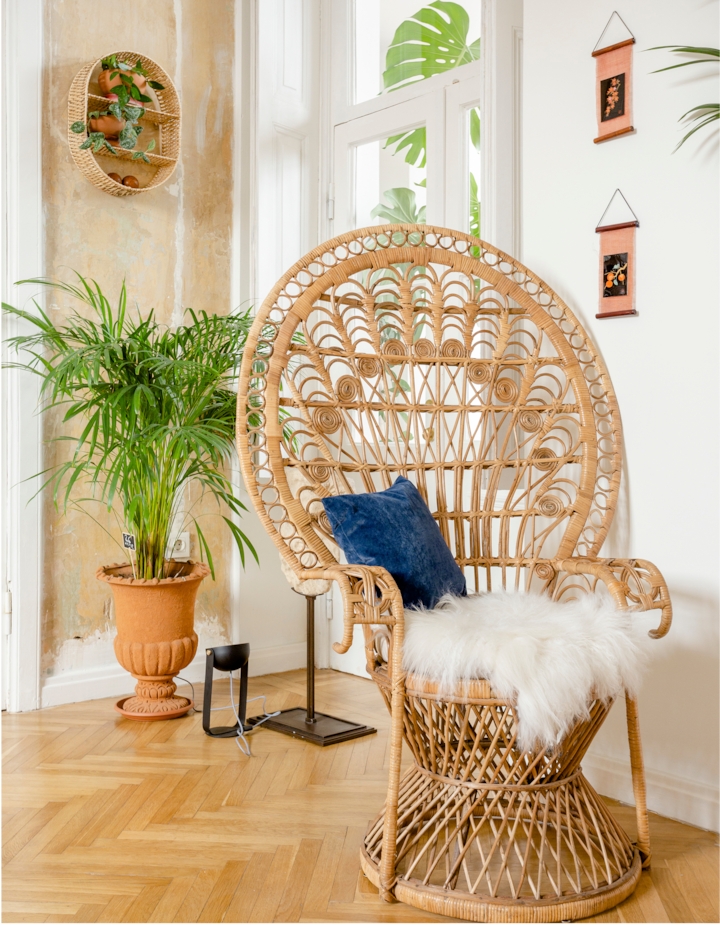 Un coussin en velours bleu et un plaid en fausse fourrure blanche sont posés sur un fauteuil en rotin dans une pièce lumineuse avec des plantes vertes luxuriantes et des décorations murales.