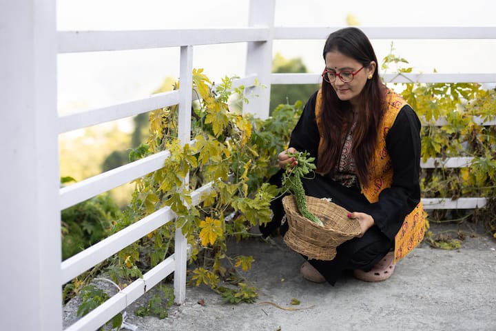 A person wearing traditional attire harvests fresh green beans into a woven basket, surrounded by lush vegetation on a sunlit terrace in Uttarakhand.
