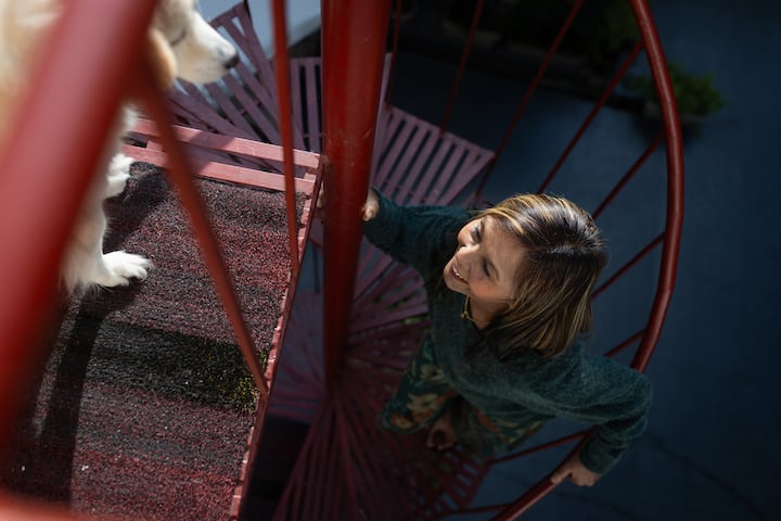 A person climbing a red spiral staircase, with a white dog visible near the top of the stairs, set against an outdoor background.