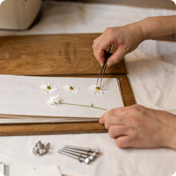 Une personne presse soigneusement des marguerites blanches sur une presse à fleurs en bois, illustrant une expérience d'atelier local.