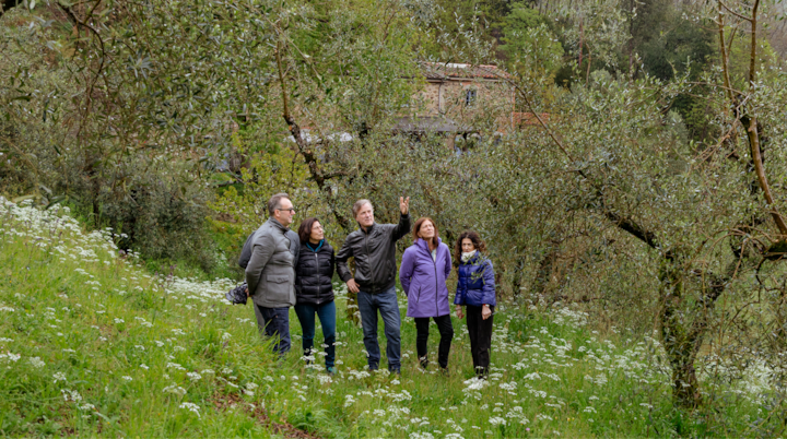 Cinq personnes participent à une visite guidée dans un paysage rural pittoresque avec des fleurs sauvages, des oliviers et une maison au loin nichée dans la verdure.