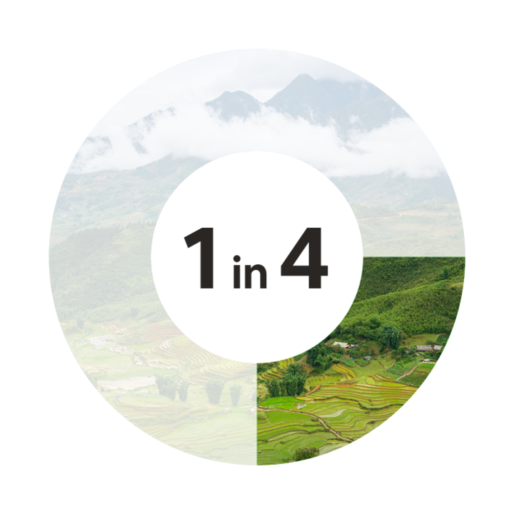 Circular graphic showing lush green terraced rice fields with mist-covered mountains in the background, overlaid with the statistic '1 in 4'.