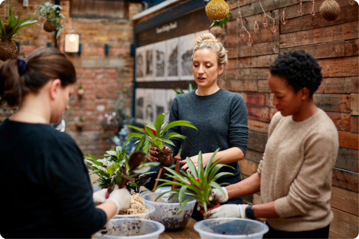 Un groupe de personnes travaille ensemble sur une séance d'arrangement de plantes, avec des plantes tropicales, de la terre et des conteneurs répartis sur une table en bois dans un cadre rustique.