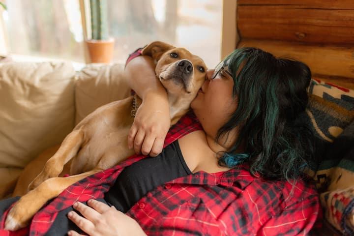 En hund og eieren sitter på en sofa mens eieren kysser hunden.