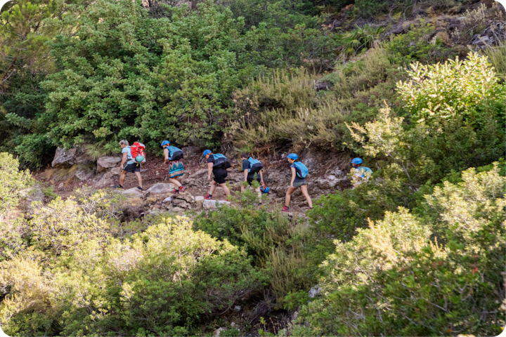 Six randonneurs, équipés de casques et de matériel de sport de plein air, grimpent un sentier forestier bordé de buissons et d'arbres.