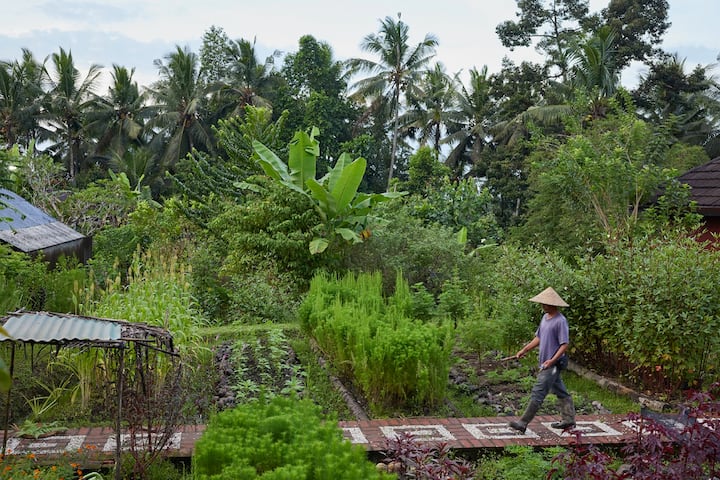 Room4Dessert - Food Forest Tour