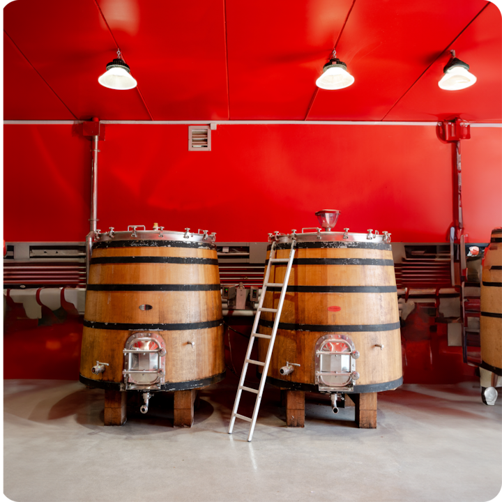 Une vue nette et de face de deux tonneaux de vin en bois avec une échelle appuyée contre l'un d'eux, dans une cave rouge lumineuse.