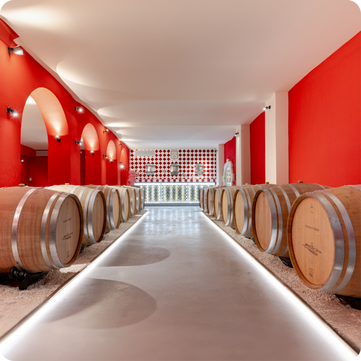 L'intérieur lumineux d'une cave à vin avec des rangées de tonneaux en bois bordant une allée lustrée qui mène à un mur décoratif en carrelage rouge et blanc, ainsi qu'à un coin bar situé au fond.