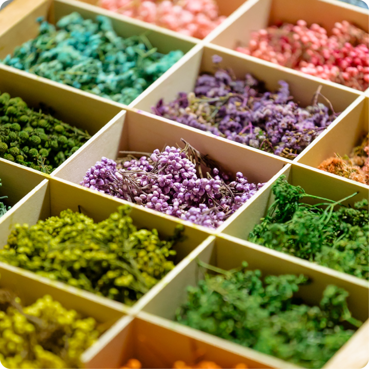 Une collection de fleurs séchées soigneusement disposées dans différentes teintes, dont le violet, le vert et le rose, présentées dans des boîtes en bois.