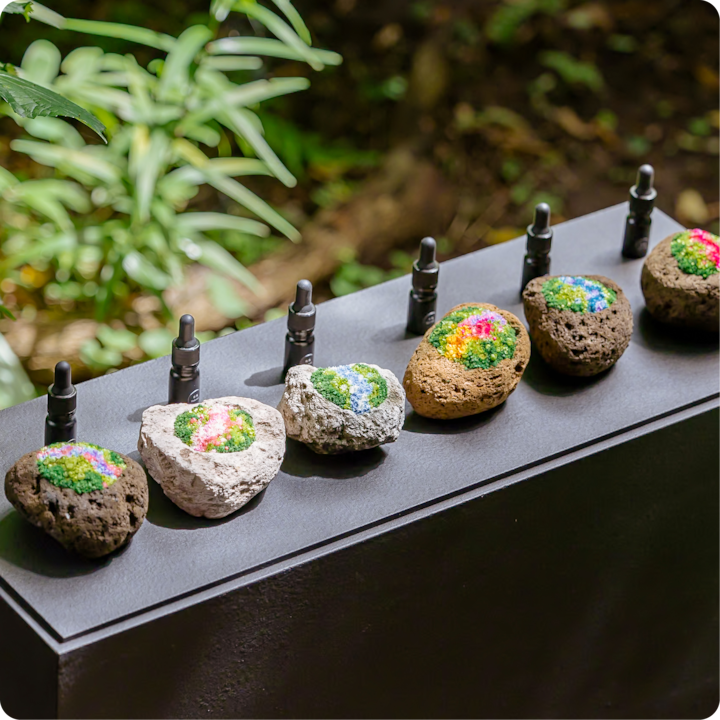 Gros plan sur des pierres décoratives aux motifs abstraits vert, rose, bleu et jaune vifs, exposées sur un présentoir noir dans un cadre extérieur luxuriant.