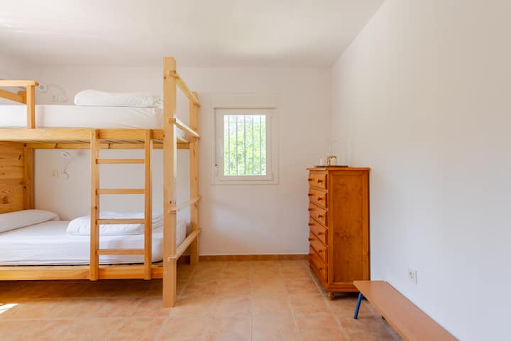 Une chambre lumineuse équipée de lits superposés, d'une commode en bois et d'un petit banc, avec une fenêtre donnant sur de la verdure.