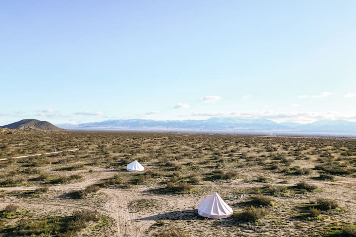 Un vaste terrain désertique avec deux tentes blanches installées au milieu d'arbustes, avec une chaîne de montagnes en arrière-plan sous un ciel dégagé.