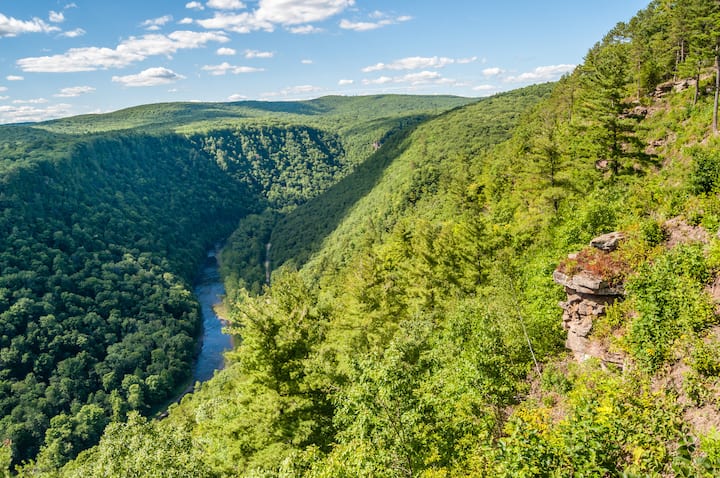 Image for Pine Creek Gorge, Pennsylvania