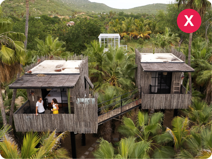 Deux cabanes en bois perchées au-dessus d'une forêt tropicale. Une passerelle les relie et un couple se tient sur l'un des balcons.