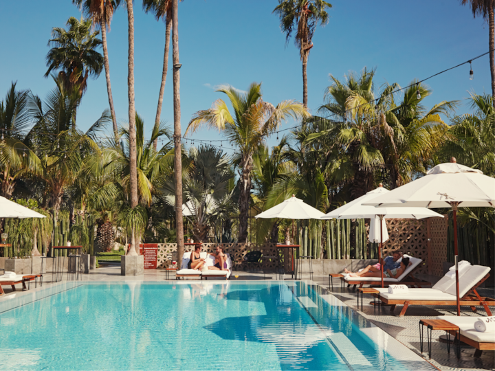Un cadre paisible autour d'une piscine tropicale, avec des palmiers, des parasols blancs et des clients qui se détendent au bord de la piscine sous un ciel bleu dégagé.
