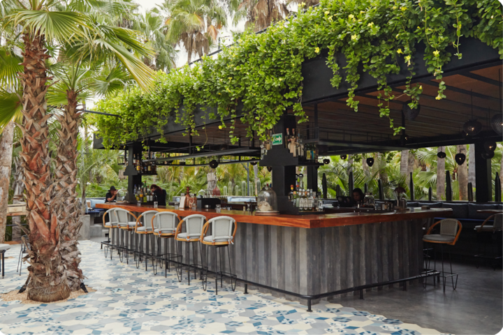 Un bar extérieur avec des plantes suspendues, des palmiers et un sol carrelé, assurant une atmosphère tropicale accueillante.