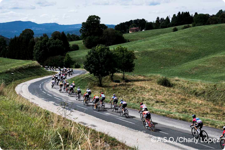 Un groupe de cyclistes professionnels roule sur une route sinueuse à travers collines et campagne.  